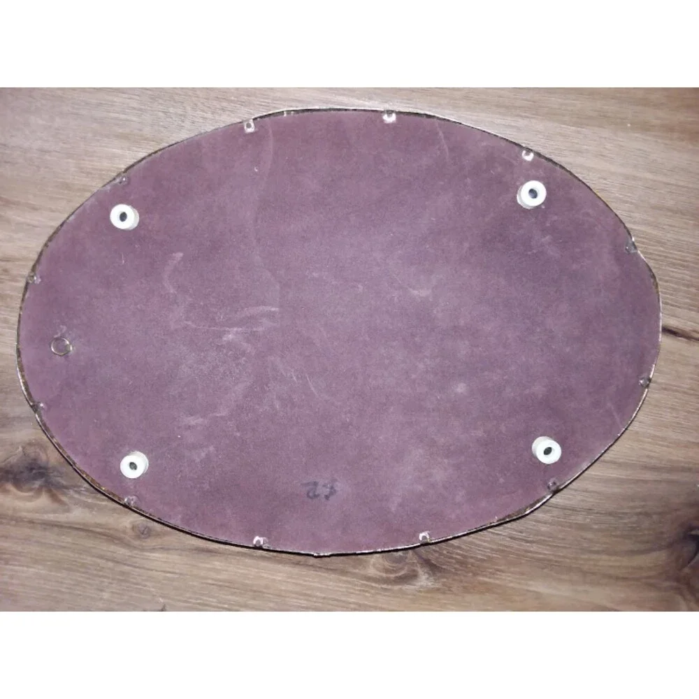 Ornamental Golden Mirrored Tray Velvet bottom Wall Mirror Wall Decor ornate